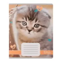 Комплект тетрадей из 10 штук, 18 листов в линию Calligrata "Домашние животные", обложка мелованный картон, ВД-лак, блок офсет, 5 видов по 2 штуки