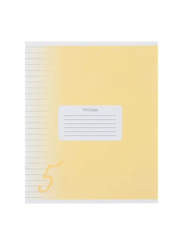 Комплект тетрадей из 10 штук, 24 листа в линию Calligrata "Пятёрка", обложка мелованный картон, ВД-лак, блок офсет, 5 видов по 2 штуки