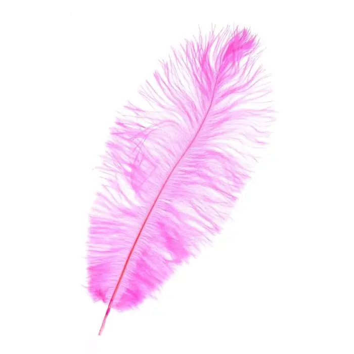 Перо для декора 1 шт., размер 20-24 см, цвет розовый Перо для декора 1 шт., размер 20-24 см, цвет розовый