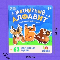Развивающий набор «Магнитный алфавит», русский алфавит, 3+