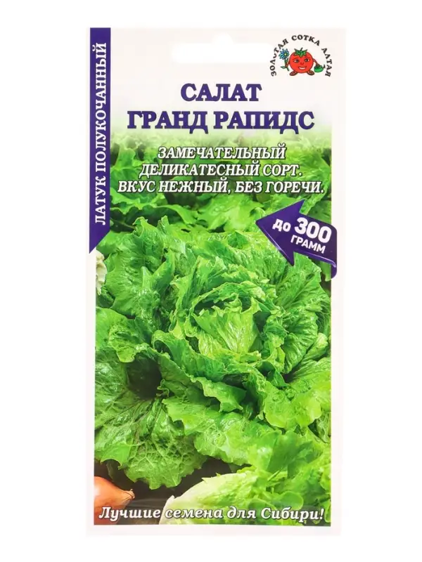 Семена Салат Гранд Рапидс /Сотка/ 0,5г/ листов. зеленый до 300г/*1500 Семена Салат Гранд Рапидс /Сотка/ 0,5г/ листов. зеленый до 300г/*1500