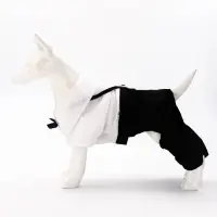 Костюм для животных "Джентельмен", размер S (ДС 25, ОГ 35 см)