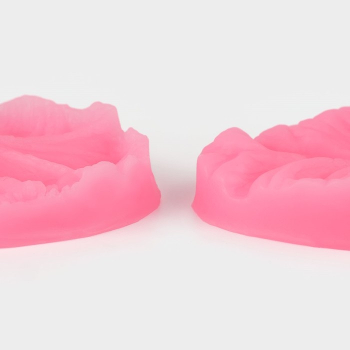 Молд «Лист тропических растений», силикон, 2 шт, 6,5×4×2,3 см, цвет МИКС Молд «Лист тропических растений», силикон, 2 шт, 6,5×4×2,3 см, цвет МИКС