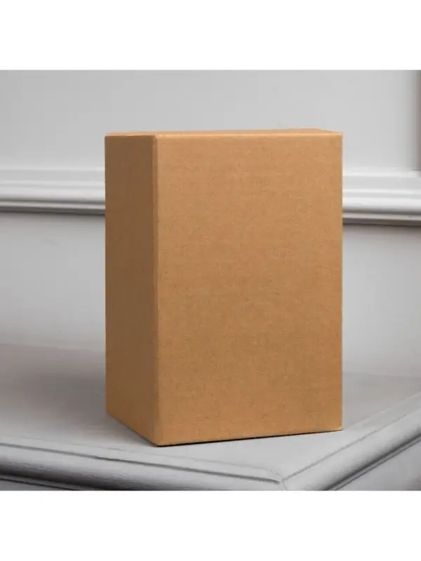 Светодиодная фигура &laquo;Снеговик&raquo; 9&times;20&times;9 см, пластик, от батареек LR44&times;3, свечение тёплое белое