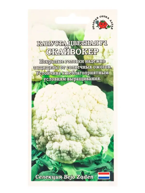 Семена Капуста цветная Скайвокер F1 /Сотка/ 5шт/ позднесп. 1,9-3,5кг Bejo/*1500