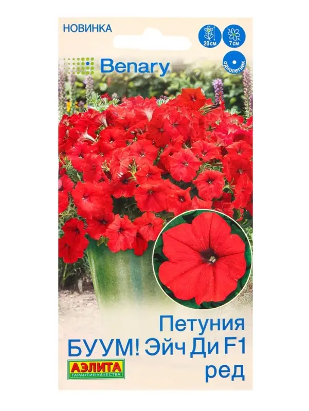 Семена цветов Петуния БУУМ! Эйч Ди F1 Ред многоцветковая (драже) Benary, Ц/П,7 шт. Семена цветов Петуния БУУМ! Эйч Ди F1 Ред многоцветковая (драже) Benary, Ц/П,7 шт.