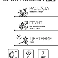 Семена цветов Катарантус "Тату Мандарин", 7 шт