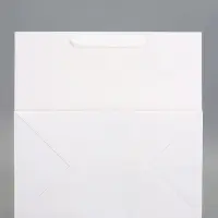 Пакет для торта, подарочный, 30&times;17.5&times;30 см, белый