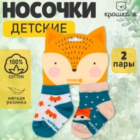 Набор носков Крошка Я "Лисичка", 2 пары, 8-10 см