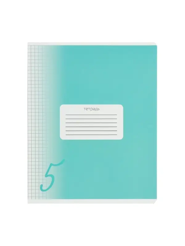 Комплект тетрадей из 10 штук, 18 листов в клетку Calligrata "Пятёрка", обложка мелованный картон, ВД-лак, блок офсет, 5 видов по 2 штуки