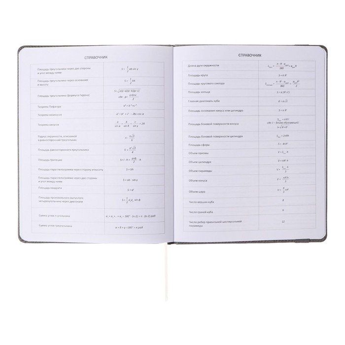 Дневник универсальный для 1-11 классов Grey, твёрдая обложка, искусственная кожа, резинка, ляссе, тонированный блок, 48 листов