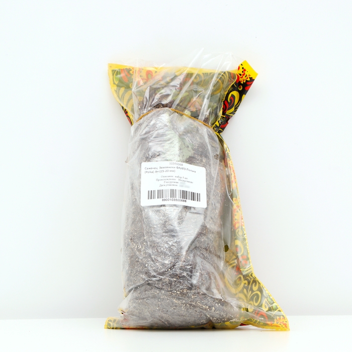 Саженец  Земляники ФРИГО Полька (Polka) A+ (15-20 мм), 5 шт