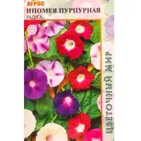 Семена Ипомея пурпурная "Радуга" 1 г Семена Ипомея пурпурная "Радуга" 1 г