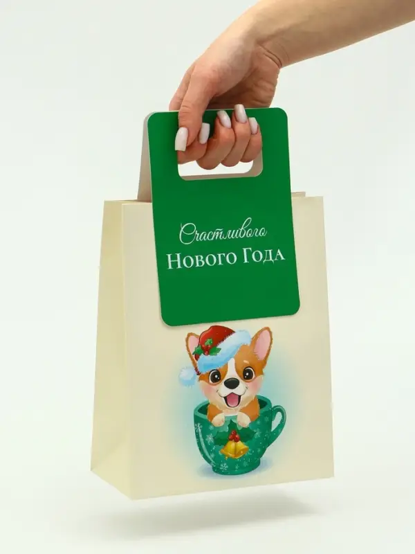 Пакет подарочный с вырубной ручкой «Корги» 18×23×9 см, зеленый Пакет подарочный с вырубной ручкой «Корги» 18×23×9 см, зеленый