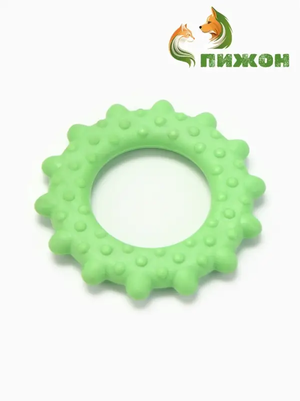 Жевательная игрушка для собак &laquo;Кольцо с шипами&raquo;, 8.5 см, TPR, зелёная