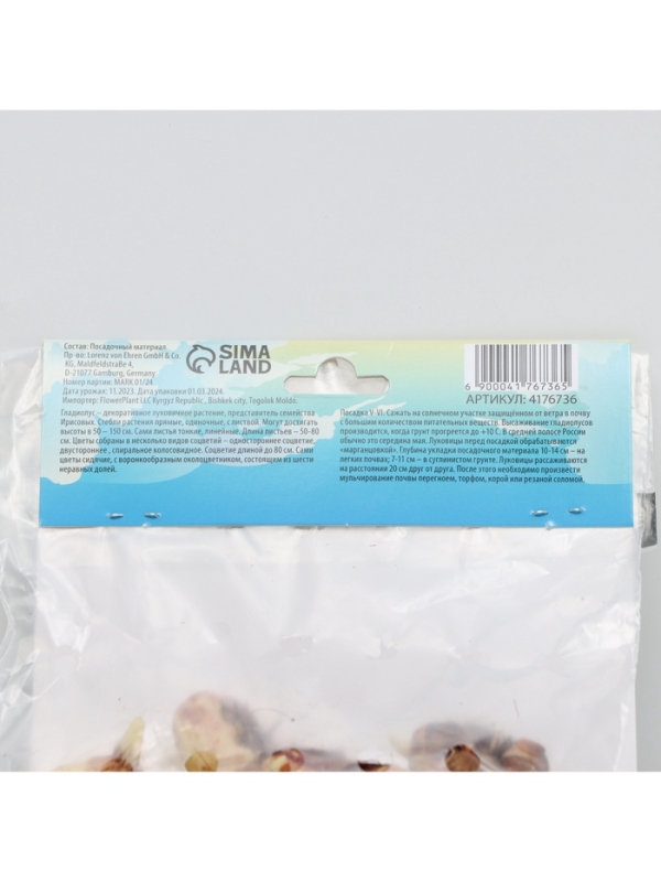 Гладиолус Низкорослый «Принц Клаус», луковица цветов в пакете с перфорацией, р-р 10+, 7 шт.