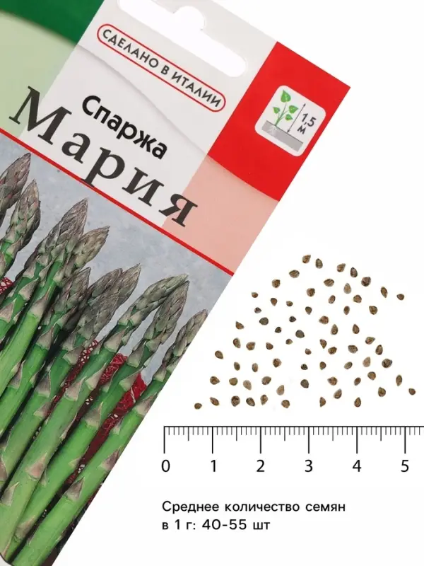 Семена Спаржа &laquo;Царская&raquo;, 0.5 г, 20 шт.