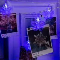 Гирлянда &laquo;Нить&raquo; 4.5 м с насадками &laquo;Прищепки-снежинки&raquo;, IP20, прозрачная нить, 20 LED, свечение синее, 220 В