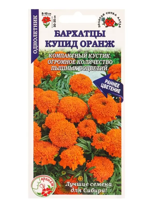 Семена Бархатцы Купид Оранж /Сотка/ 0,1г/ прям. 35см, d-10см/*1500 Семена Бархатцы Купид Оранж /Сотка/ 0,1г/ прям. 35см, d-10см/*1500