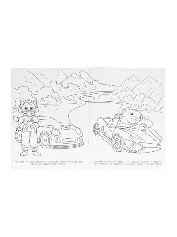 Раскраска «Весёлый гонщик», 16 стр. Раскраска «Весёлый гонщик», 16 стр.