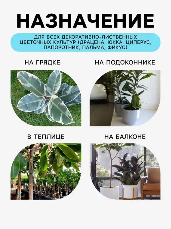 Грунт для всех видов декоративно-лиственных &laquo;Рецепты Дедушки Никиты&raquo;, 5 л