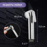 Гигиеническая лейка ZEIN Z0212, пластик, 1 режим, хром