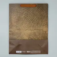 Пакет подарочный крафтовый, упаковка, &laquo;Нереальных высот&raquo;, L 31&times;40&times;9 см