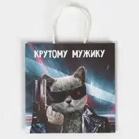 Пакет подарочный, упаковка, &laquo;Мужику&raquo;, 22 х 22 х 11 см
