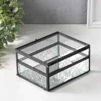 Шкатулка стекло с металлическим каркасом "Проталины" прозрачная 11,5х15х7,3 см