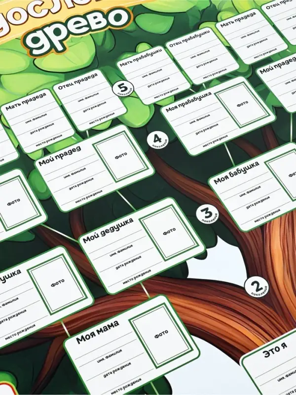 Генеалогическое древо &laquo;Моё родословное древо&raquo;, 90.6&times;59.6 см