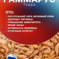 Корм для рыб и черепах &laquo;Пижон&raquo; гаммарус тушка, 500 г