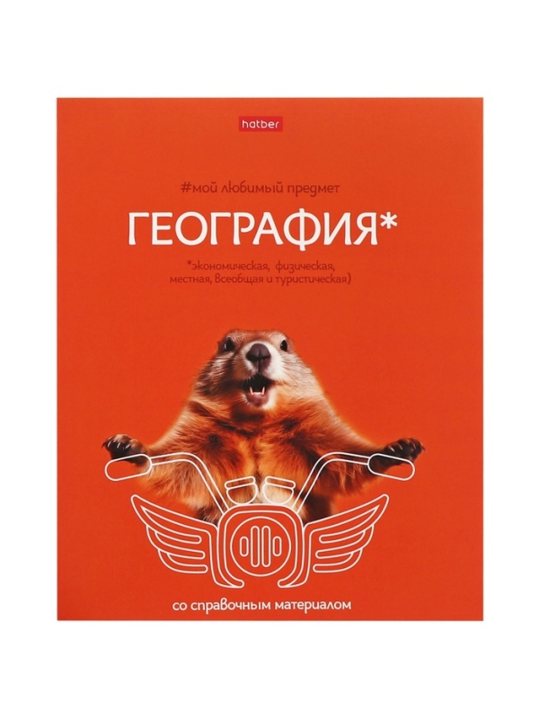 Комплект предметных тетрадей 48 листов, 12 предметов Hatber «Мой любимый предмет», обложка мелованный картон, ламинация Soft-touch, с интерактивным сп... Комплект предметных тетрадей 48 листов, 12 предметов Hatber «Мой любимый предмет», обложка мелованный картон, ламинация Soft-touch, с интерактивным сп...