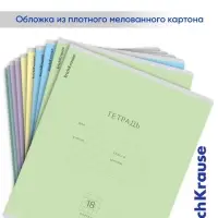 Тетрадь 18 листов в клетку, ErichKrause &laquo;Классика&raquo;, обложка мелованный картон, МИКС