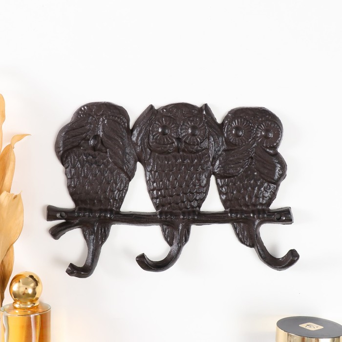 Крючки декоративные чугун Крючки декоративные чугун "Филины не слышу, не вижу, не скажу" 15,5х23х2,5 см