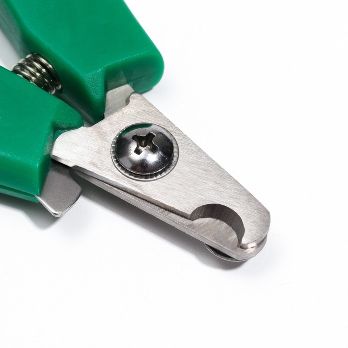 Когтерез боковой малый с нескользящими ручками, отверстие 9 мм, зелёный с серым Когтерез боковой малый с нескользящими ручками, отверстие 9 мм, зелёный с серым