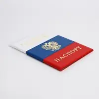 Обложка для паспорта, цвет триколор