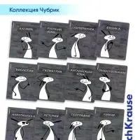 Набор предметных тетрадей ErichKrause &laquo;Чубрик&raquo;, 12 предметов, 48 листов, со справочным материалом, пластиковая обложка