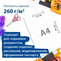 Картон для подшивки документов А4, 100 листов, немелованный, односторонний, блок 260 г/м&sup2;, бело-серый