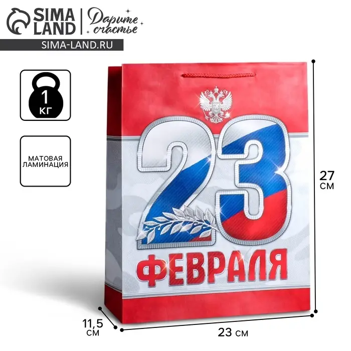 Пакет подарочный ламинированный, упаковка, &laquo;23 февраля!&raquo;, ML 23&times;27&times;11.5 см