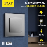 Выключатель TOT Glossy Glass, 10 А, 1 клавиша, с подсветкой, скрытый, стекло, серебристый