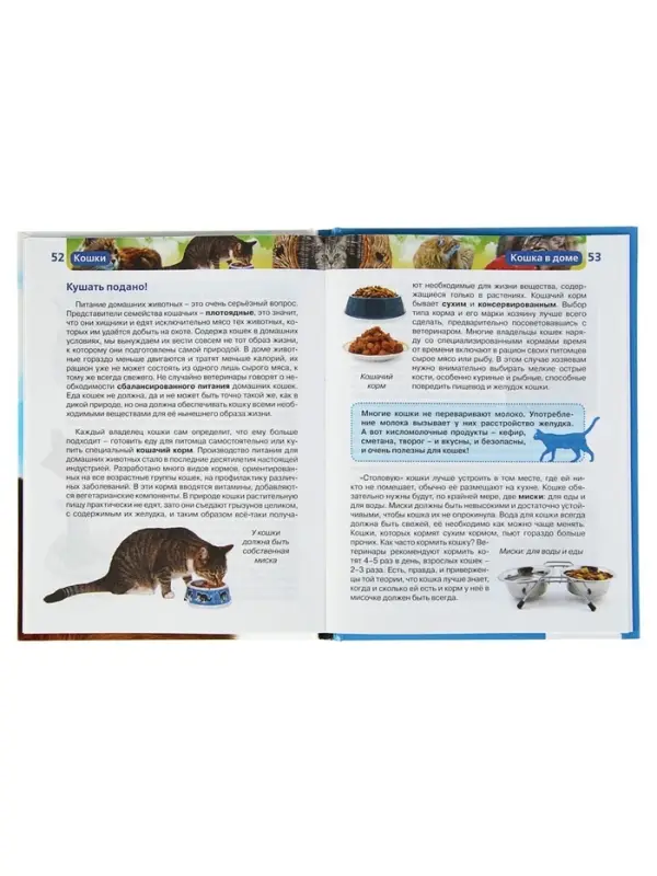 Детская энциклопедия &laquo;Кошки&raquo;