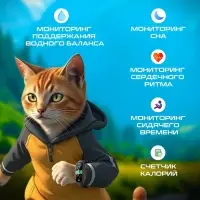 Фитнес браслет Luazon FF-SW-01, 0.96", цветной дисплей, пульсометр, оповещения, шагомер, чёрный