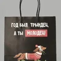 Пакет подарочный крафт &laquo;Молодец&raquo;, 22&times;22&times;11 см