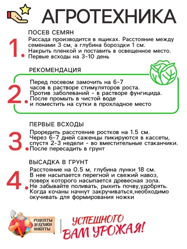 Семена Капуста белокочанная  Семена Капуста белокочанная "Подарок", 0,3 г