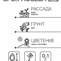 Семена цветов Иберис "Александрит", Евро, 0,1 г