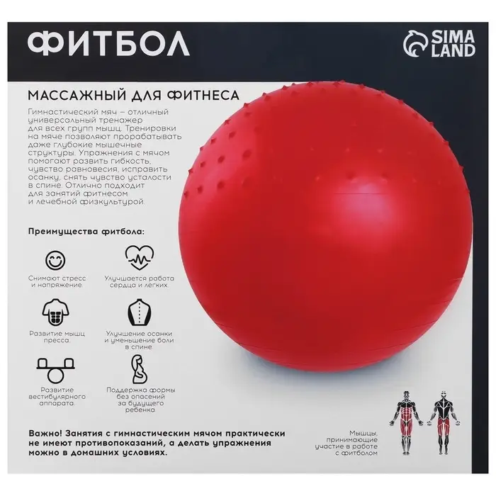 Фитбол ONLYTOP, d=65 см, 900 г, антивзрыв, зелёный