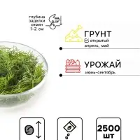 Семена Укроп &laquo;Пан Матеуш&raquo; быстроотрастающий, 2500 шт., &laquo;Григорьев&raquo;