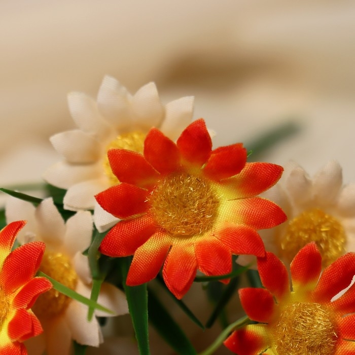 Букет Букет "Яркие ромашки" 28 см, микс