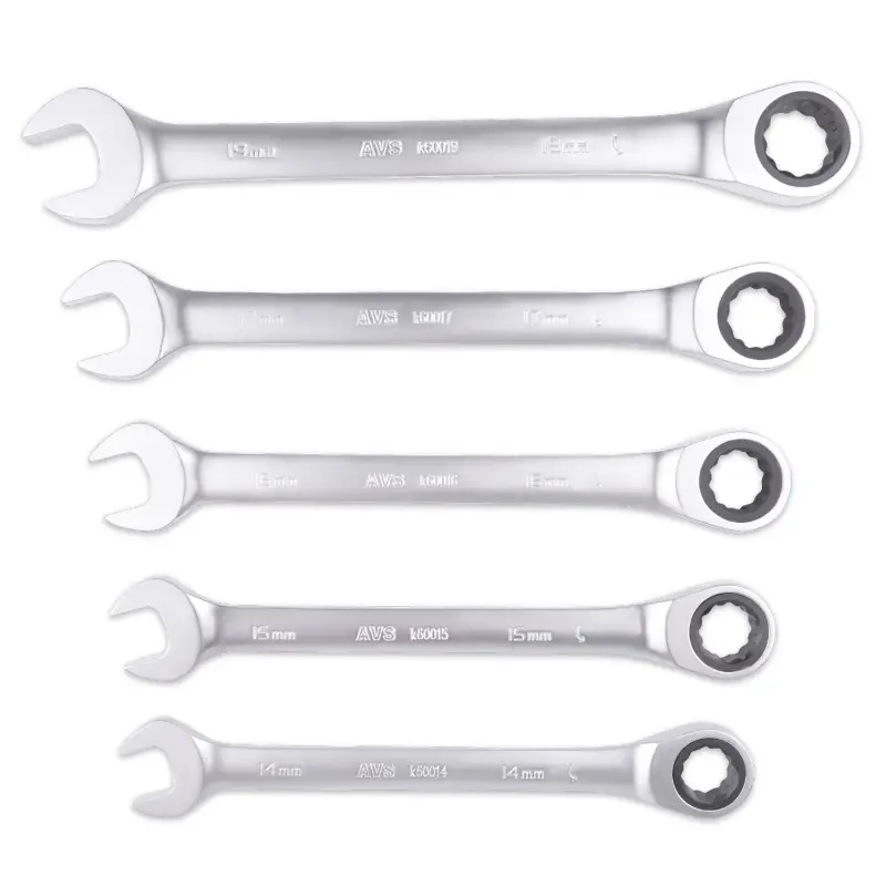 Набор ключей гаечных комбинированных трещоточных в пластике (8-19 мм) (11предметов) AVS K6N11P