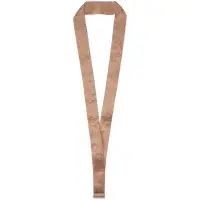 Лента для медали с пряжкой Ribbon, бронзовая